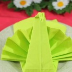 http://www.casaymantel.com/formas-originales-de-doblar-servilletas/