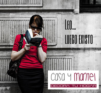 decoracion-espacio-lectura-leer-casaymantel